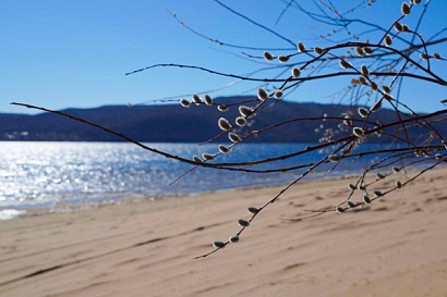 Название статьи