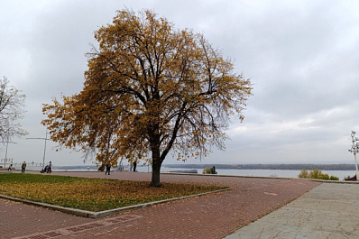 На Самарскую область 8 октября обрушится штормовой ветер