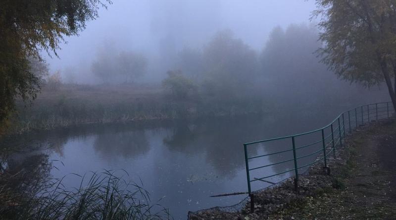 В Самарской области 1 ноября будет туманно и тепло