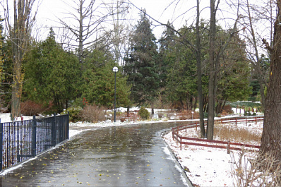 В Самаре ботанический сад закроют для посещения  