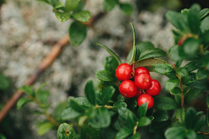 Название статьи