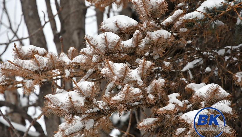 24 января в истории и архиве "ВК"