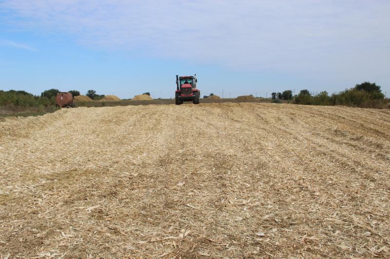  От совхоза к холдингу: как добиваются богатого урожая и высоких надоев