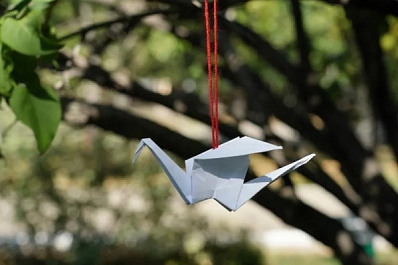 Взвесили все 