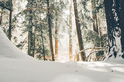 Название статьи
