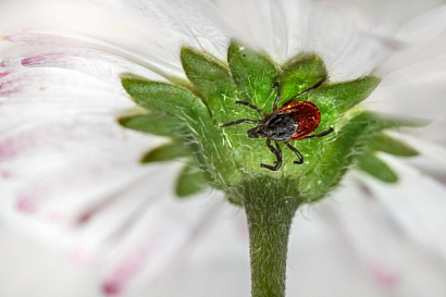 Название статьи
