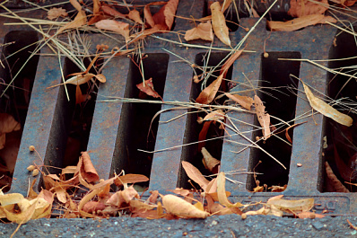 В Новосибирске в канализации нашли человеческий скелет