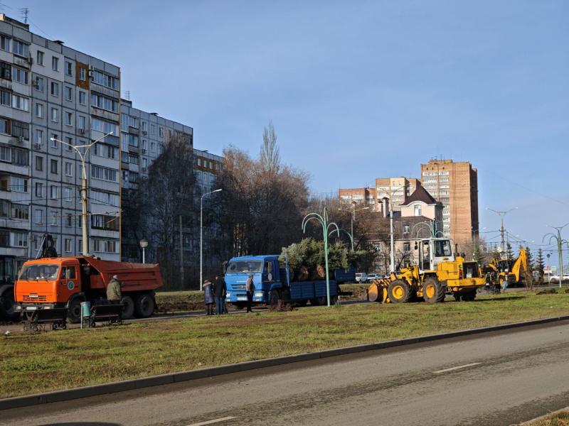 В Самаре высаживают ели вдоль дороги по улице Ташкентской