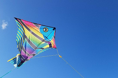 Фестиваль воздушных змеев пройдёт в Самаре