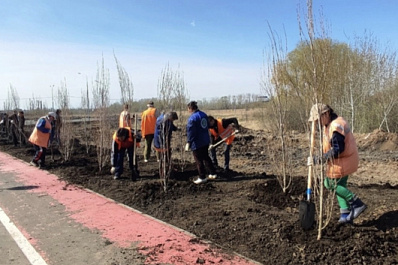 В месячнике по благоустройству в Самаре приняли участие 390 тысяч человек