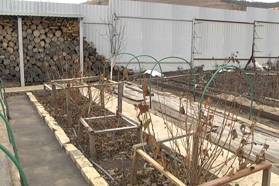 Дачные советы 27.11.2014 