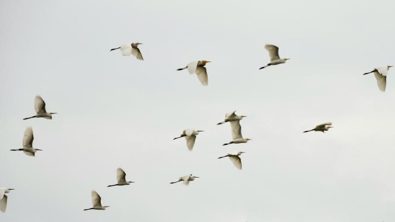 Погода на 9 сентября 2025 года: народные приметы и прогноз синоптиков