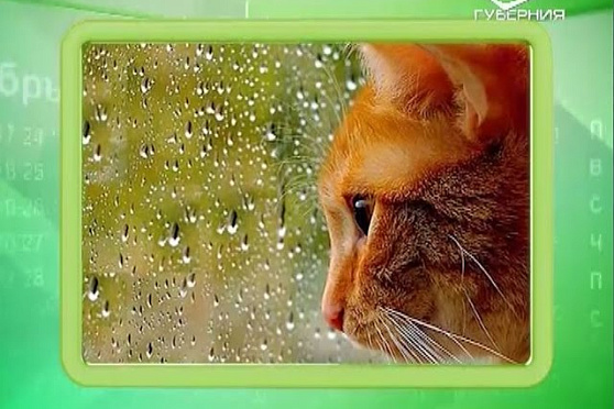 Календарь губернии 24.05.2016