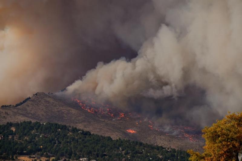 Чрезвычайная пожарная опасность лесов сохранится в Самарской области до 6 мая