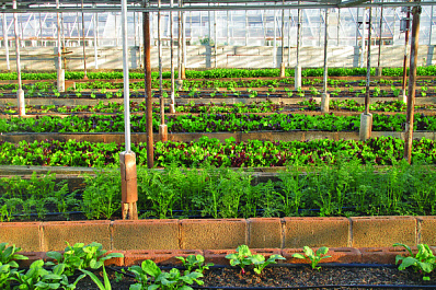 Более 25 социальных контрактов заключили в Клявлинском районе в этом году 