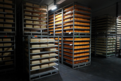 В ПФО подпольный сыр поставляли в детский интернат