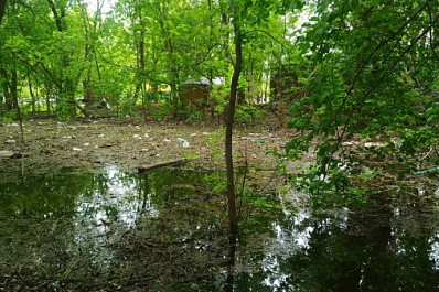 В Новокуйбышевске нашли стихийную свалку