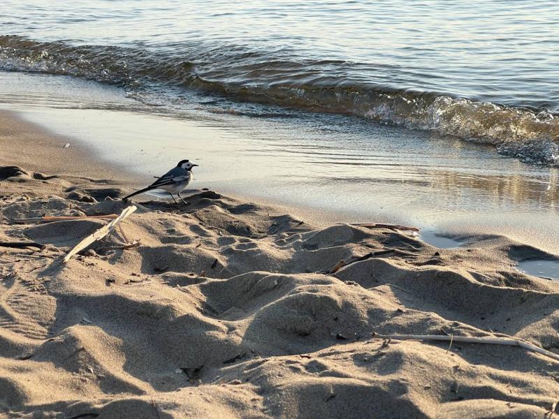 В Самарской области 1 мая будет облачно и дождливо 
