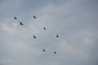 Название статьи