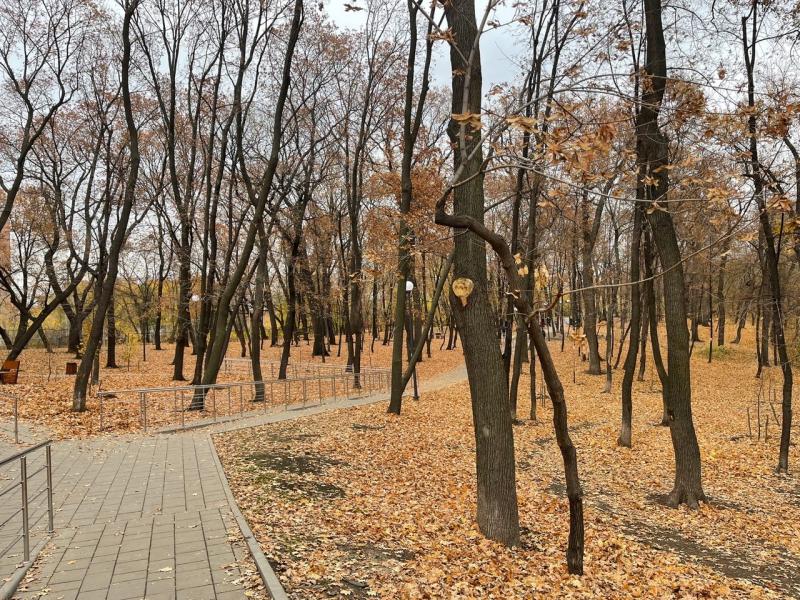 В Самарской области 28 октября будет облачно и прохладно