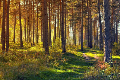 В Самарскую область возвращается жара до +31 °C