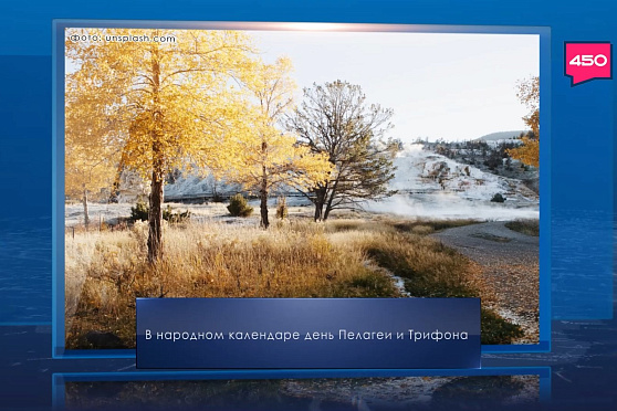 День Пелагеи и Трифона. Календарь Губернии от 21 октября