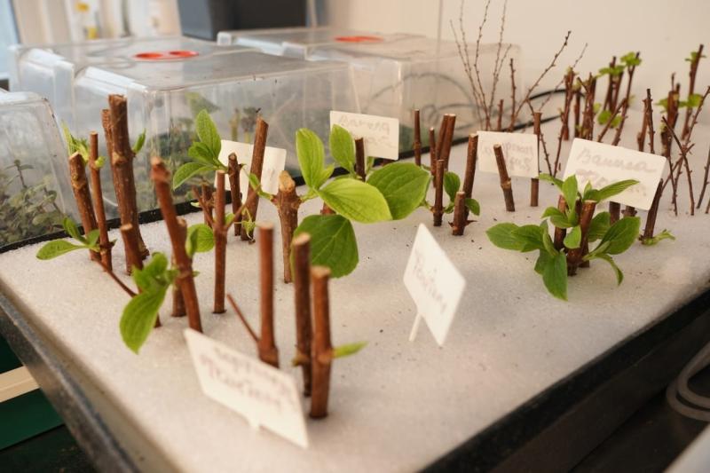 Стало известно, как в Самарской области фермеры создают экологичные продукты