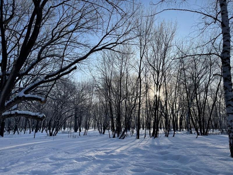 В Самарской области на Рождество ударят морозы -33 градуса