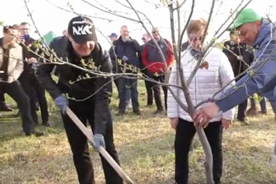Дмитрий Азаров принял участие в акции по посадке леса в Тольятти