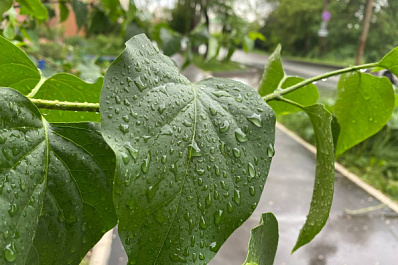 Погода на 20 мая 2025 года: народные приметы и прогноз синоптиков