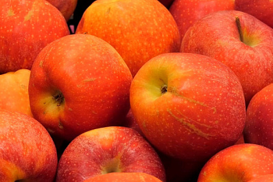 Самарцы рассказали, как они относятся к правильному питанию