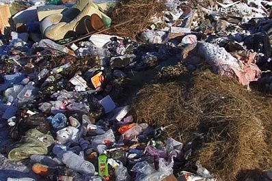 До Нового года свалки в Самарской области должны будут ликвидировать собственники земли