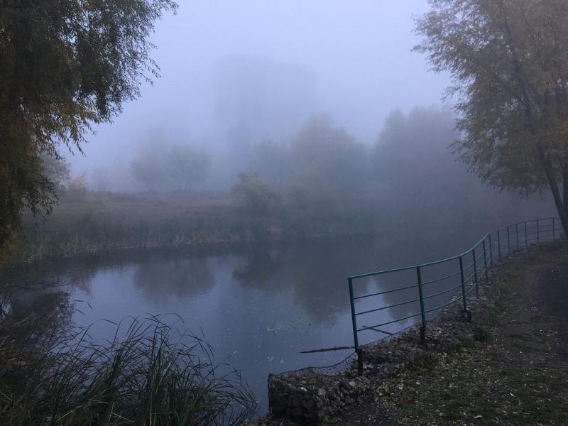 Густой туман опустится на Самарскую область ночью и утром 17 сентября