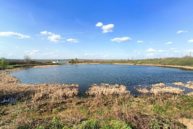 В Самаре ищут подрядчика для очистки озер около Волгаря