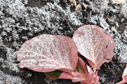 Название статьи