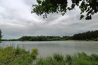 Название статьи