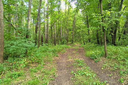 Название статьи