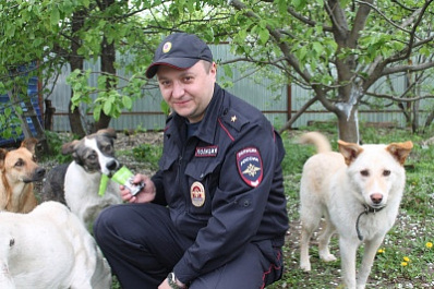 В Самарской области несчастная собака упала в глубокий колодец