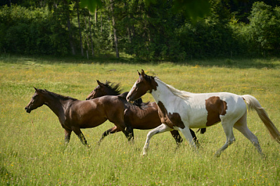 Народные приметы на 31 августа 2025 года: что нельзя делать в этот день