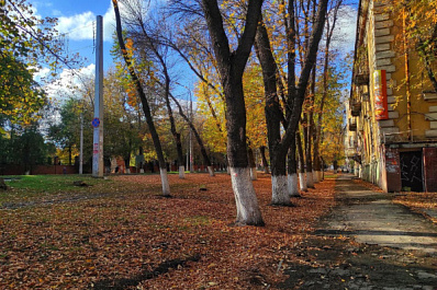 В выходные в Самарской области закончатся дожди и выглянет солнце