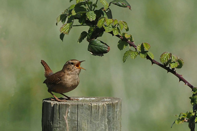 Народные приметы на 13 августа 2025 года: что нельзя делать в этот день