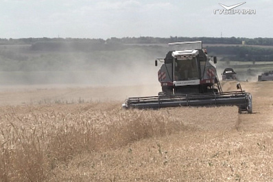 Уборка зерновых в Самарской области вышла на финишную прямую