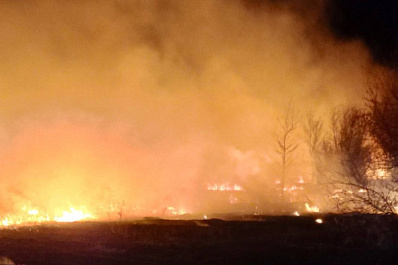 В Самарской области полыхала трава на 800 "квадратах"