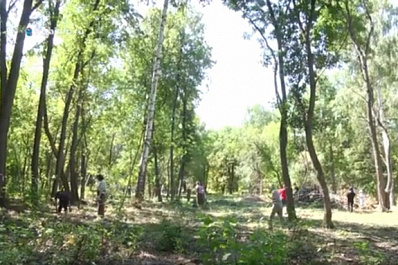 В заповедных местах Самарской области провели экосубботники