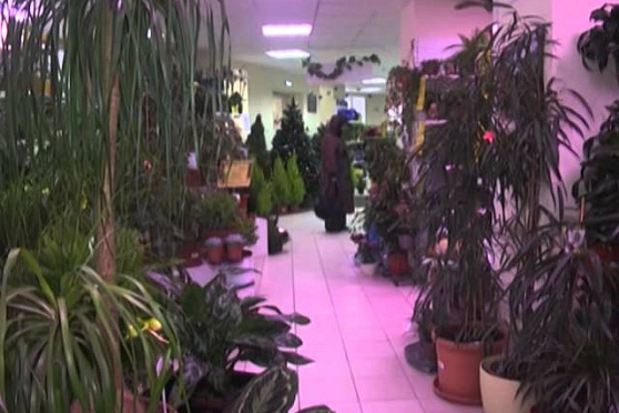 Дачные советы 30.01.2014