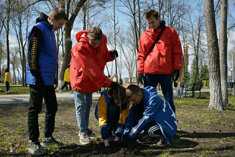 В самарском парке Победы высадили березы в честь героев Великой Отечественной войны 