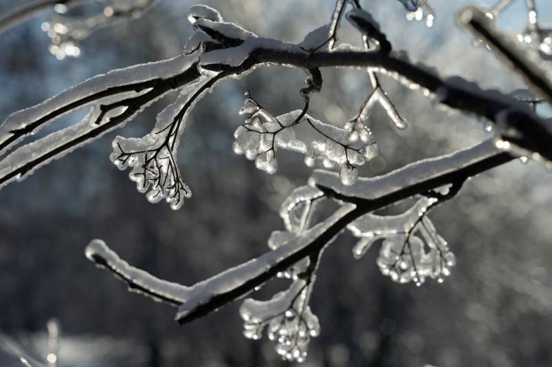 В Самарской области 18 ноября будет скользко и ветрено