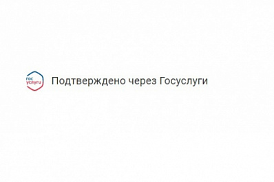 Достоверность, оперативность, креатив: почти 1,5 тысячи госпабликов в Самарской области уже получили отметку "Госорганизация"