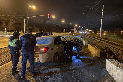 В Тольятти служебная собака нашла 162 грамма наркотиков в машине таксиста