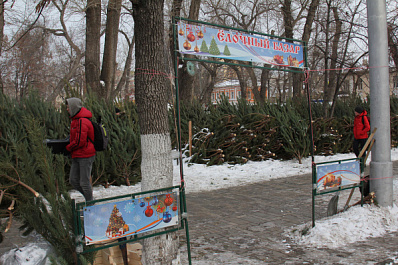 Стала известна дата открытия елочных базаров в Самаре